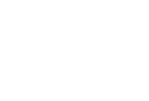 Alert-Logo-Blanc-200